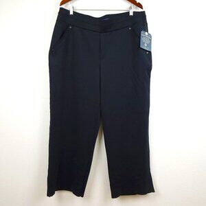 Democracy Pull On Pants Women's Plus Size 2X Gray Casual Stretch